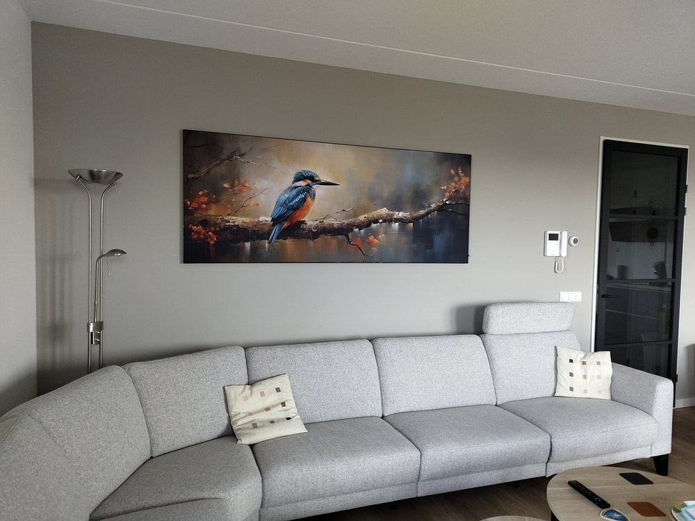 Birds: Kingfishers