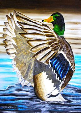 GEBIEDEN VAN MALLARD EENDEN van Floris Betrouw