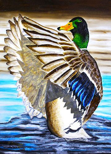 ZONES DE CANARDS COLVERTS