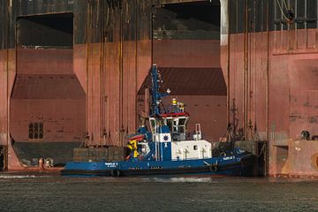 Havensleepboot assisteert in de haven Rotterdam van scheepskijkerhavenfotografie