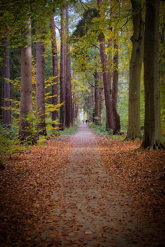 Nature makes people feel small