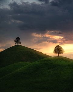 De Drumlins van Markus Stauffer