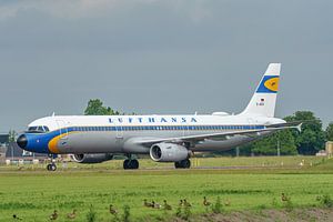 Lufthansa Airbus A321 in Retro-Farben besucht den Flughafen Schiphol.