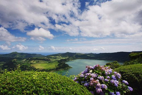 Lake, Clouds and Flowers