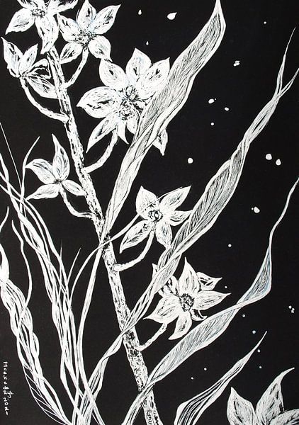 Orchids (1) by Ineke de Rijk