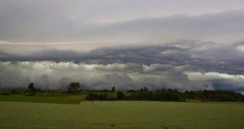 Shelfcloud 1
