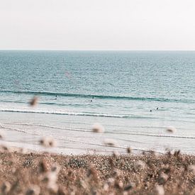 Entdecken Sie die schönen Felder der Bretagne an der Küste Frankreichs von Leanne Remmerswaal