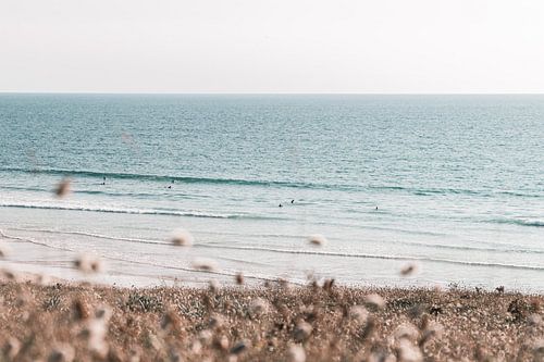 Découvrez les magnifiques champs de la Bretagne sur les côtes françaises