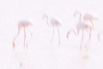 La Vie en Rose (III) Flamingo's in de Camargue. van Kris Hermans