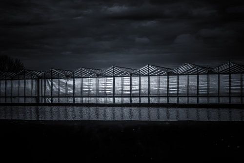 Westland, kas, reflectie, zon, water en glas...