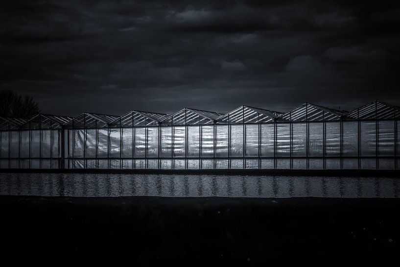 Westland, Gewächshaus, Reflexion, Sonne, Wasser und Glas... von Nicolaas Digi Art