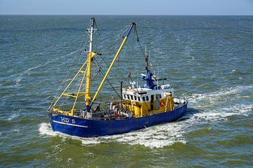 HD-5 Den Helder bateau de pêche sur Dirk van Egmond