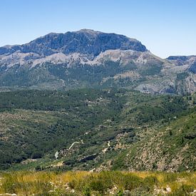 Grüne Berglandschaft, Sierra de Bernia von Adriana Mueller