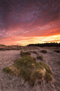 Les dunes de Petten sous un ciel de nuages rouge vif sur Bram Lubbers
