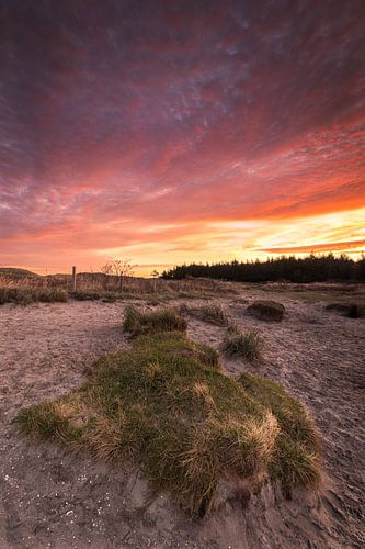 Les dunes de Petten sous un ciel de nuages rouge vif