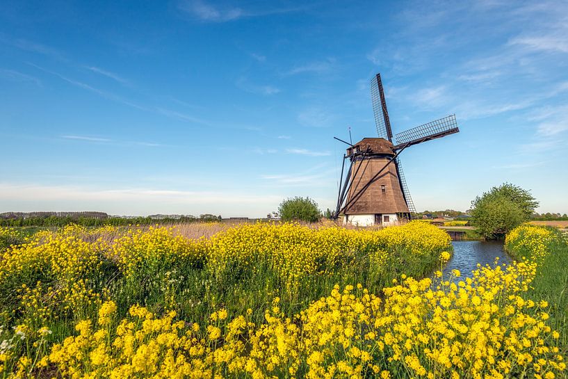 Windmolen De Oude Doorn, Almkerk van Ruud Morijn
