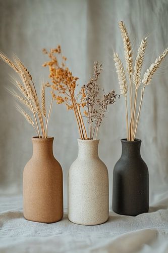 Transience of Nature in Autumn Colors iii