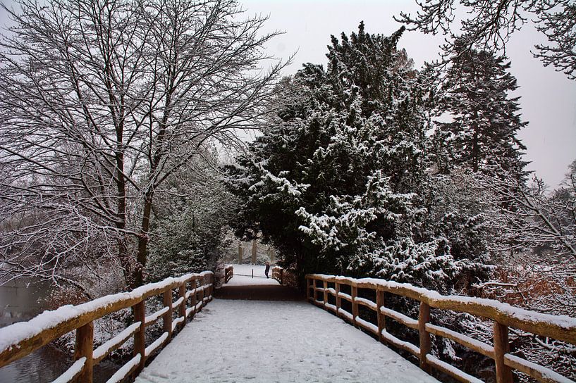 Brug in de sneeuw van Edgar Schermaul