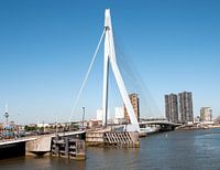 Erasmusburg Rotterdam