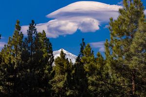 El Teide, Vulkan auf Teneriffa Spanien