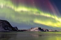 Noorderlicht op de lofoten