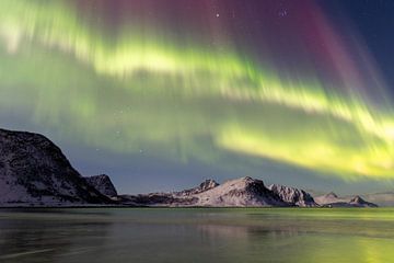 Noorderlicht op de lofoten van Danielle Kramer