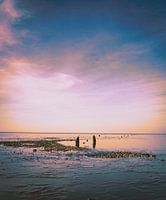 Wadden Sea