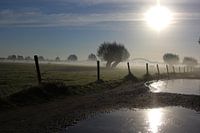 Cold morning
