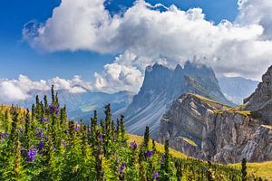 Seceda der Geisler Gruppe in den Dolomiten