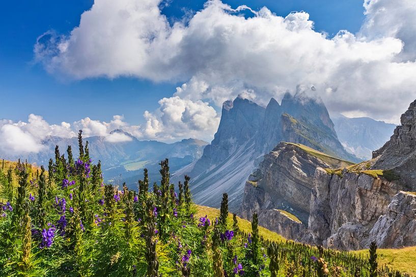 Seceda der Geisler Gruppe in den Dolomiten von Dieter Meyrl