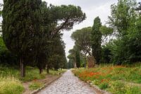 Via Appia Antica 04