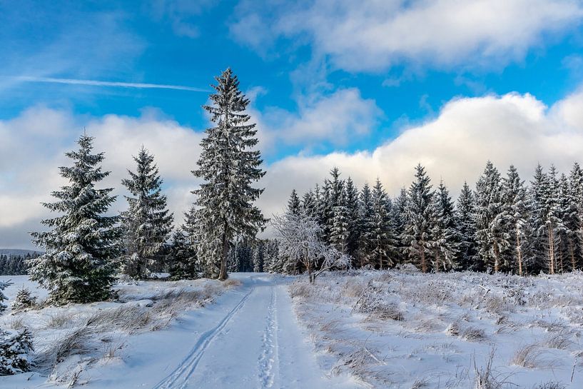 First winter hike on the Rennsteig by Oliver Hlavaty