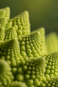 Ein grünes Fraktal unter vielen anderen (Romanesco)