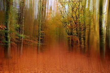 Autumn colours, wake me up  