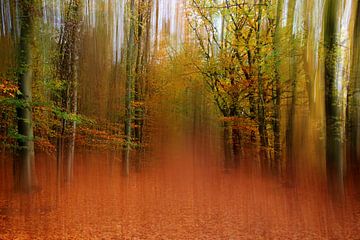 Autumn colours, wake me up   van Sandra Akkerman