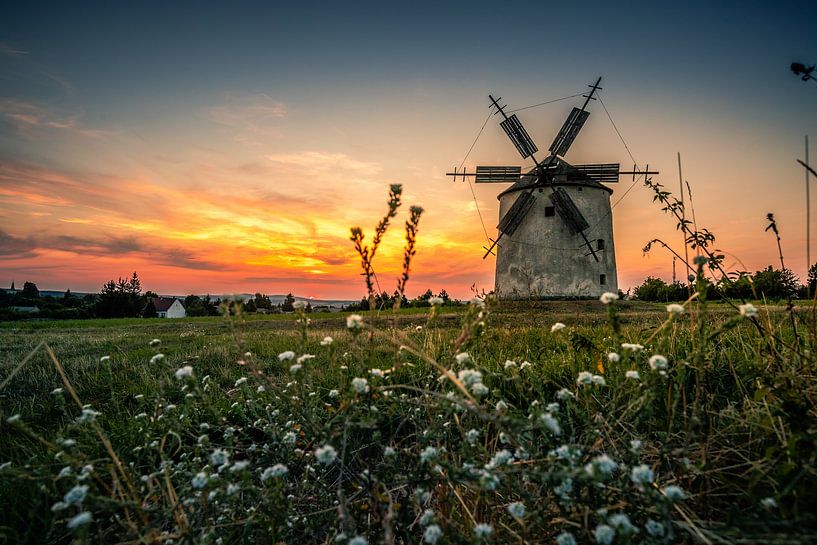 Windmolen in het veld. Landschapsopname van Tez bij zonsondergang van Fotos by Jan Wehnert