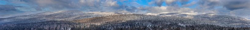 Winterlandschaft im Bayerischen Wald von Dirk Rüter