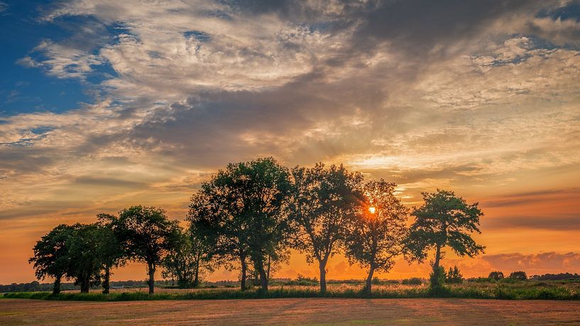 Sunset Nature Reserve De Onlanden Drenthe by R Smallenbroek