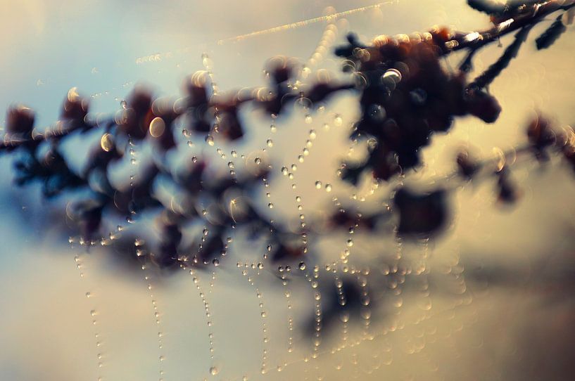 Macro - Ketting par Angelique Brunas