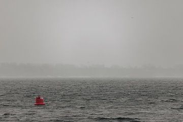 Het Veerse Meer in de winter