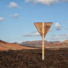 Lanzarote rusty landscape van Peter van Eekelen