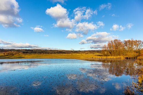 Wandeling door de prachtige Hainich Vallei