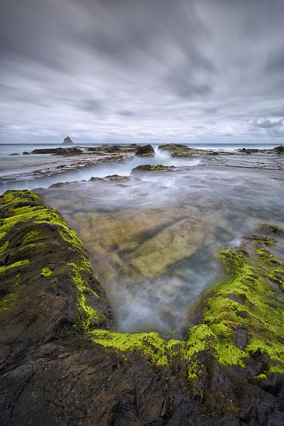 Wildes Madeira - Hochformat-Version von Rolf Schnepp
