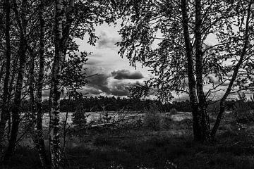 Mysterie op de Weerterheide van Jolanda de Jong-Jansen