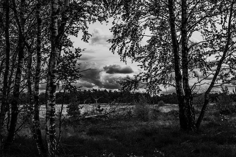 Mystère sur le Weerterheide par Jolanda de Jong-Jansen
