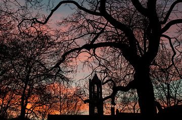 Domtoren in de avondzon sur Jeroen Knippenberg