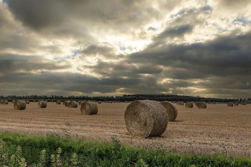 Strorollen bij zonsondergang van Ans Bastiaanssen