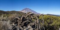 Majestueuze wildernis - panorama over het Teide Nationaal Park van Walter G. Allgöwer thumbnail
