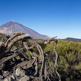 Majestueuze wildernis - panorama over het Teide Nationaal Park van Walter G. Allgöwer