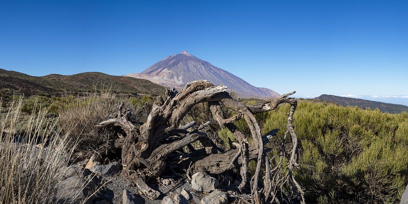 Majestueuze wildernis - panorama over het Teide Nationaal Park van Walter G. Allgöwer